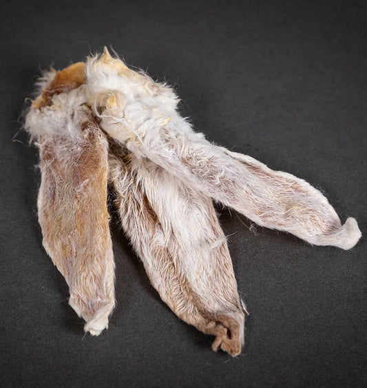 Photo of Small Rabbit Ears with Fur