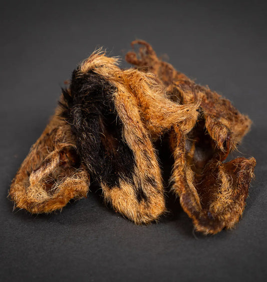 Photo of Lamb Ears with fur