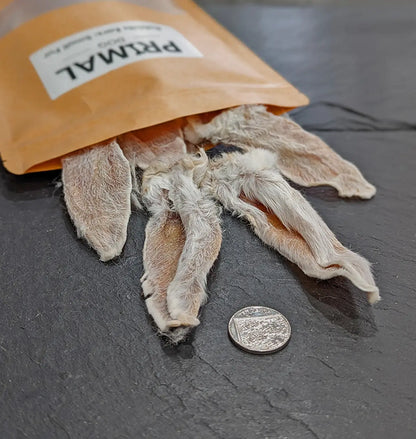 Close up photo of Small Rabbit Ears with Fur